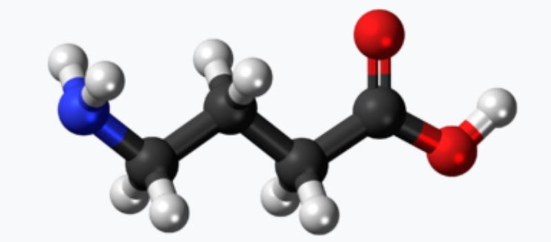 Neurotransmisor GABA