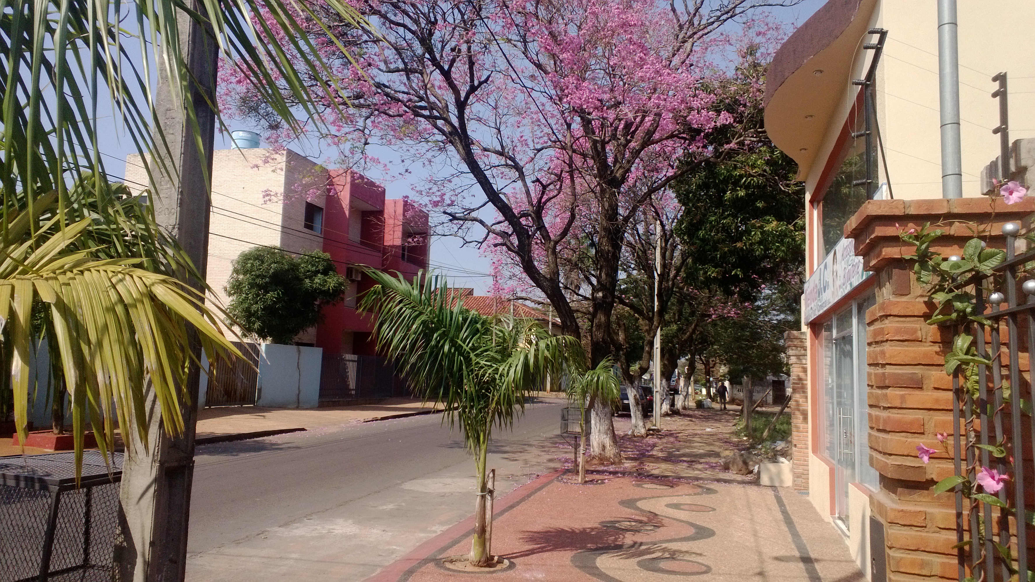 Psicólogos en Luque (Paraguay)