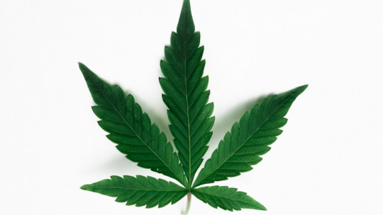 Beneficios de dejar la marihuana
