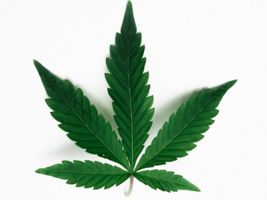 Beneficios de dejar la marihuana