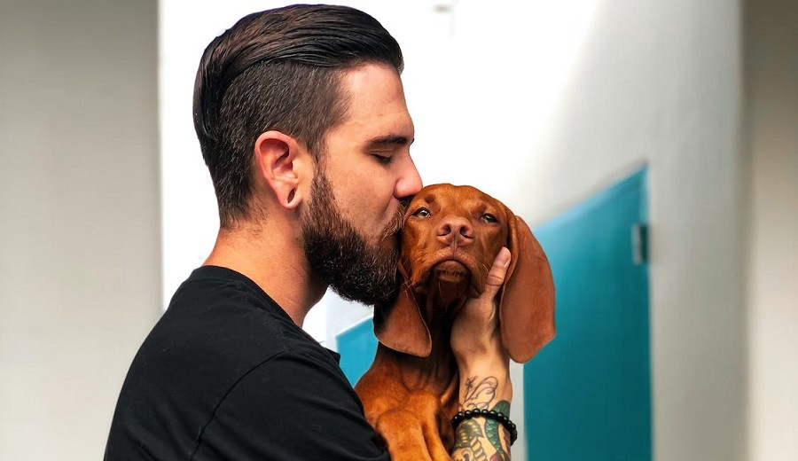 Terapia para adicciones con mascotas