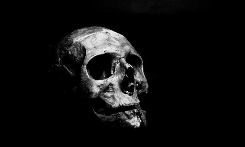 Citas de películas de terror