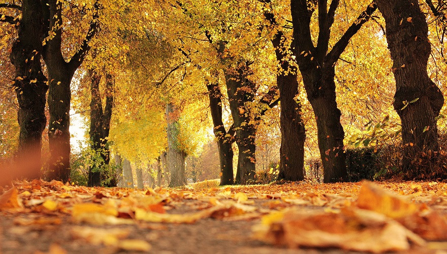 Otoño