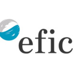 Curso Internacional Experto en Coaching en Madrid (EFIC)