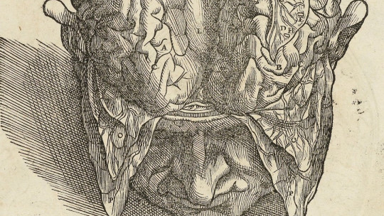 Historia del estudio del cerebro humano