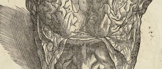 Historia del estudio del cerebro humano
