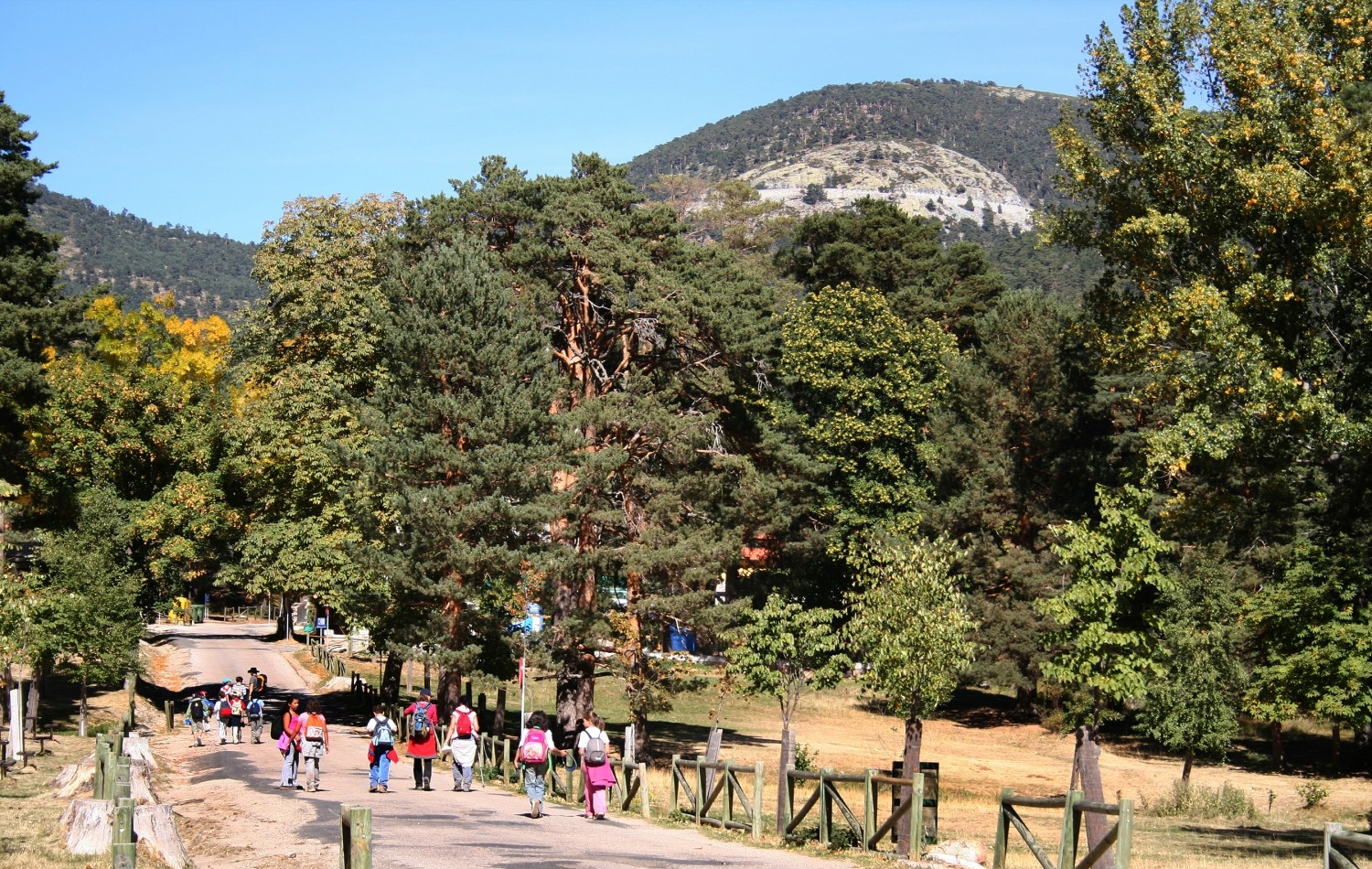 Psicólogos en Cercedilla
