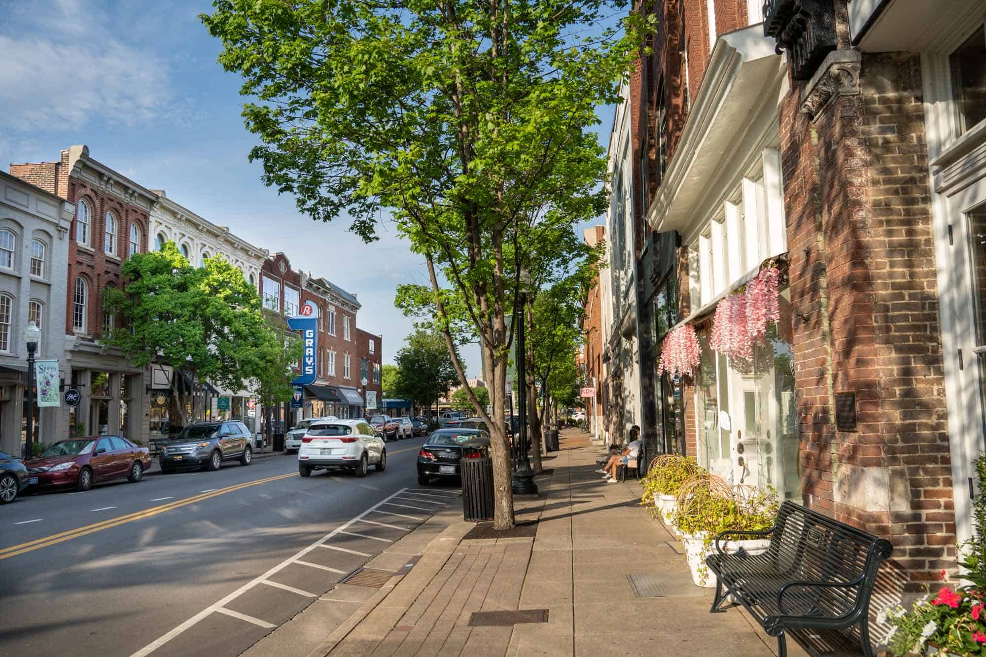 Psicólogos en Franklin (Tennessee)