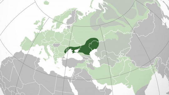 Indoeuropeos