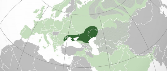 Indoeuropeos