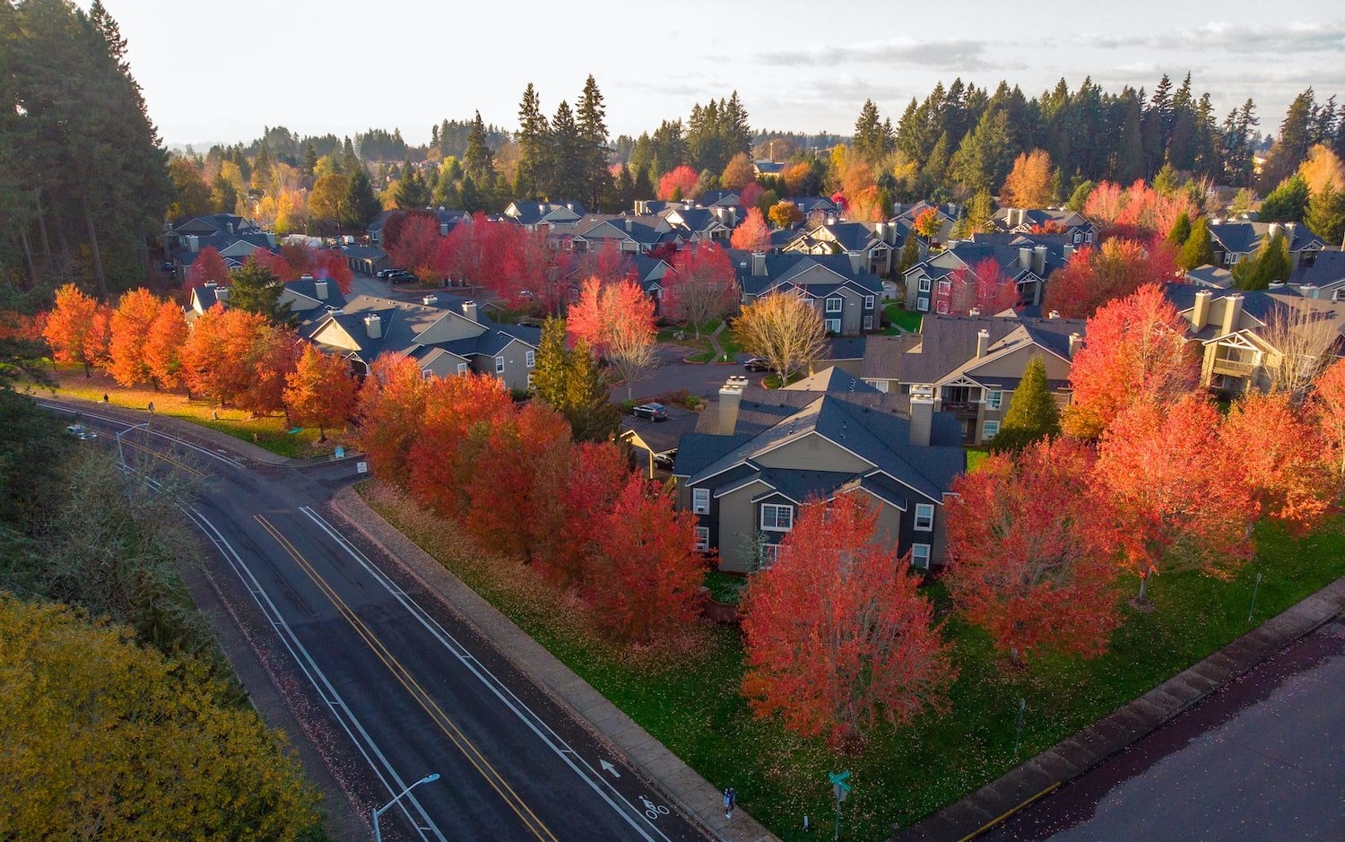 Psicólogos en Hillsboro (Oregon)