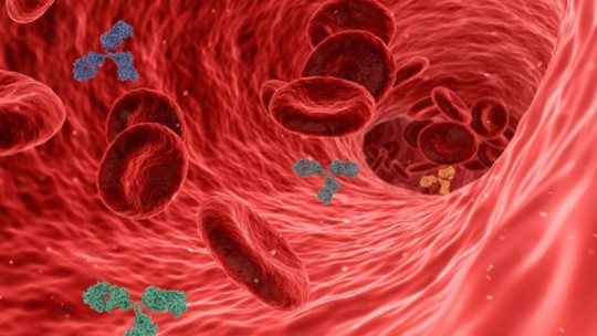 Cuáles son los cambios hormonales vinculados a la menopausia