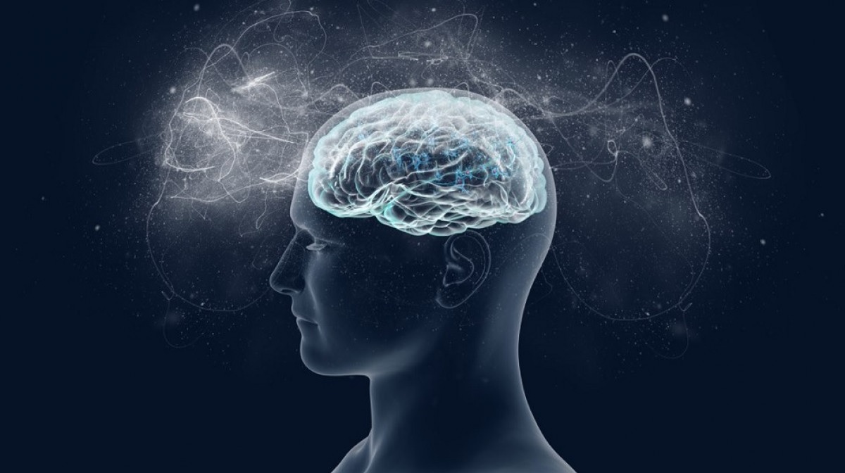 Los mejores Másters en Neuropsicología