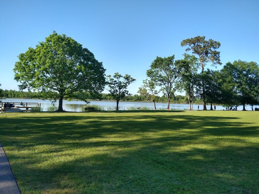 Psicólogos en Atascocita (Texas)