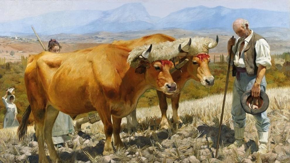 Rezo del ángelus en el campo