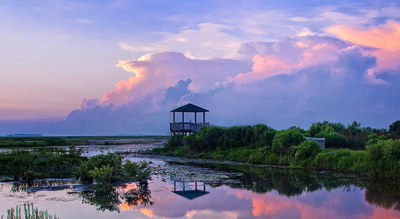 Psicólogos en Lake Charles (Louisiana)