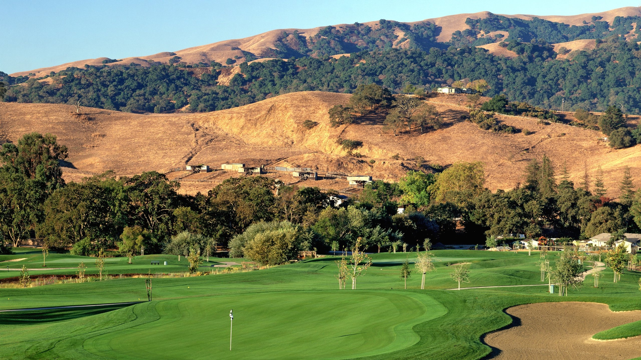 Psicólogos en Pleasanton (California)