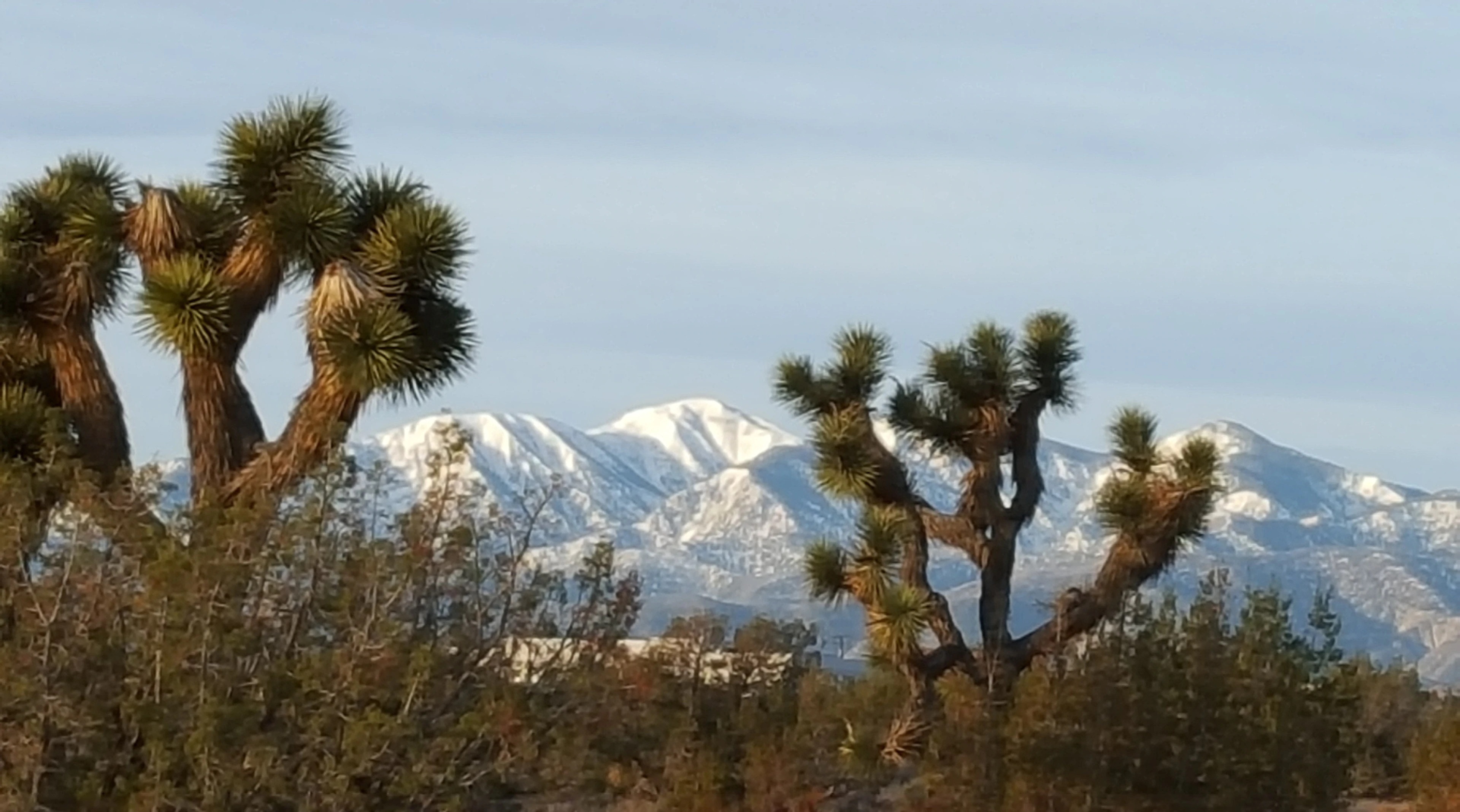 Psicólogos en Hesperia (California)