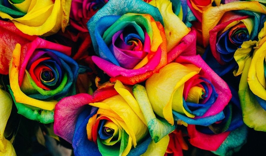 Psicólogos para personas LGTBIQ+ en España