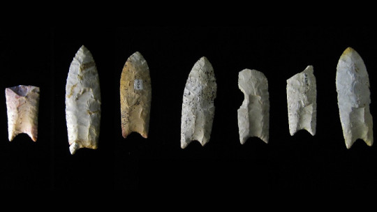 Cultura de Clovis