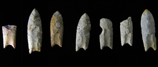 Cultura de Clovis