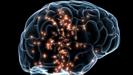 Por qué es importante el concepto de la neurodiversidad
