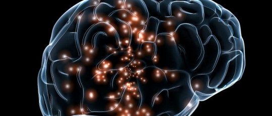 Por qué es importante el concepto de la neurodiversidad