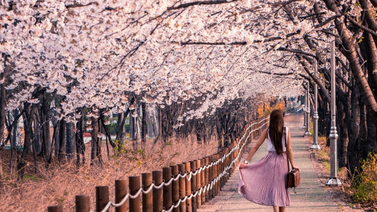 Hacia la Primavera: la vitalidad recuperada