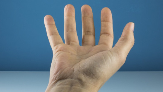 La fidelidad al alcance de tu mano