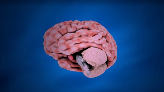 ¿Cómo funciona el Neurofeedback para tratar la Ansiedad?