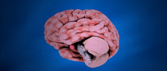 ¿Cómo funciona el Neurofeedback para tratar la Ansiedad?