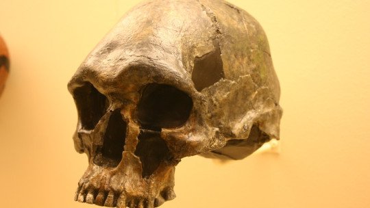¿Se cuidaba a las Personas con Discapacidad en la Prehistoria?