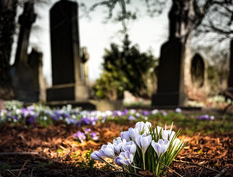 Frases para consolar tras la muerte de un ser querido