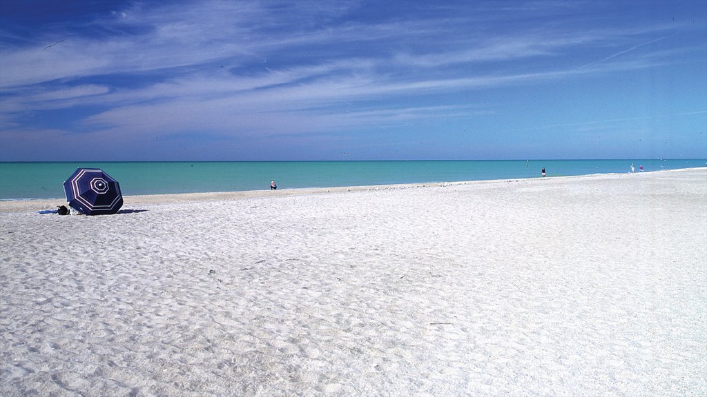 Psicólogos en Port Charlotte (Florida)