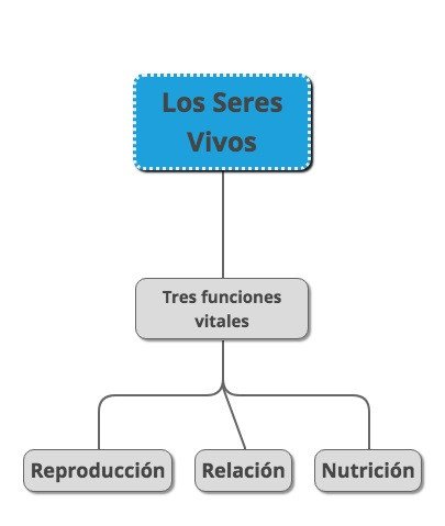 Esquema