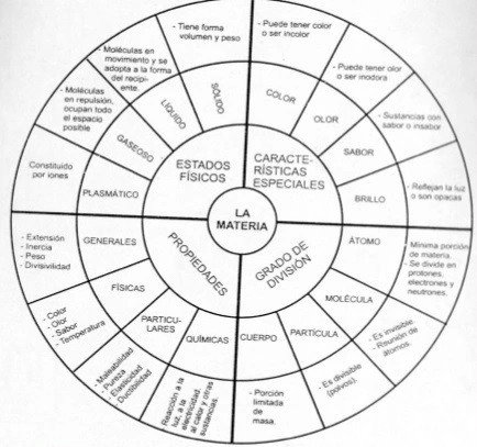 Organizador gráfico Mandala