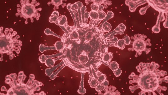 curiosidades-microbiologia