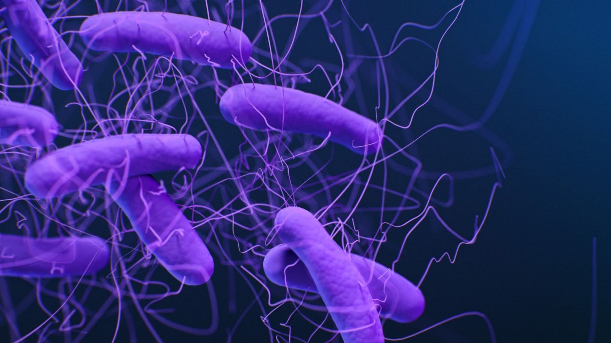 datos-curiosos-microbiologia