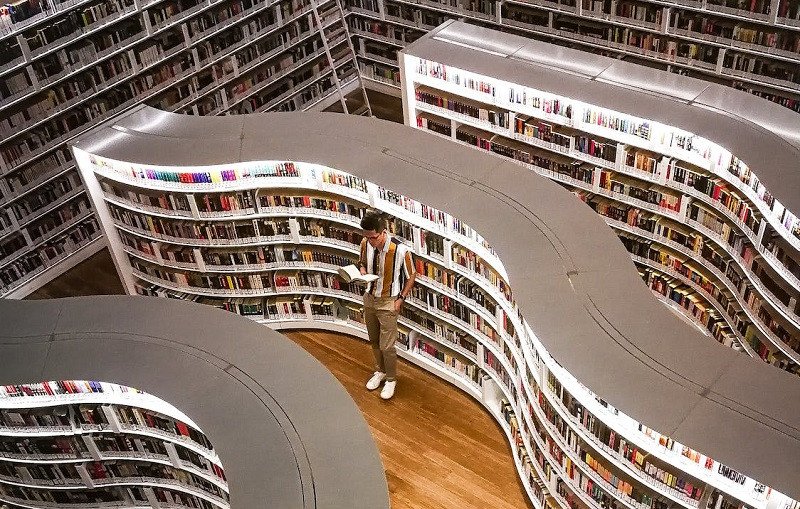 Creencias erróneas sobre la educación