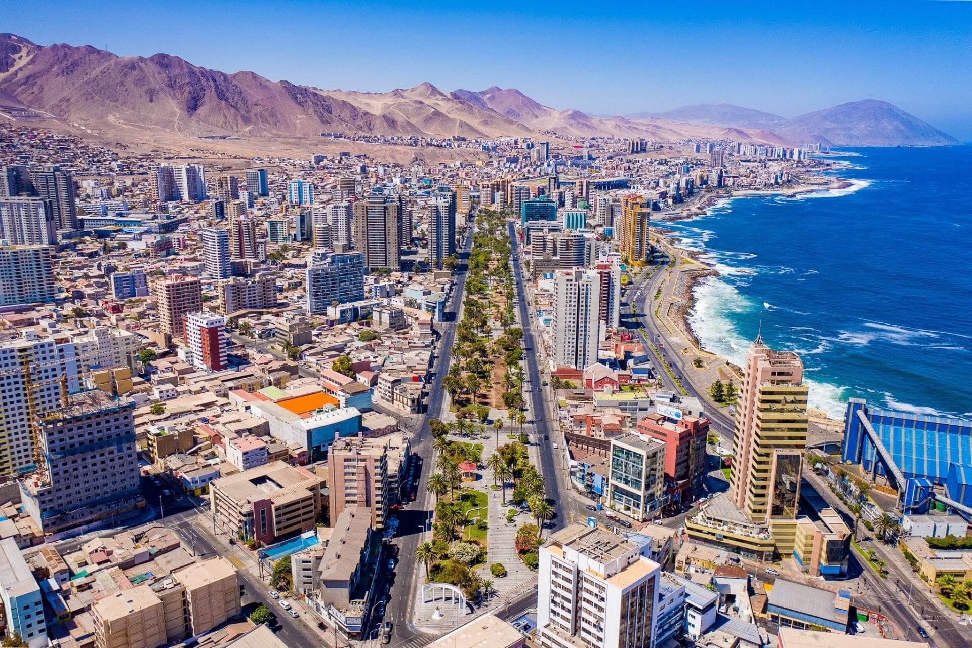 Psicólogos expertos en Duelo en Antofagasta