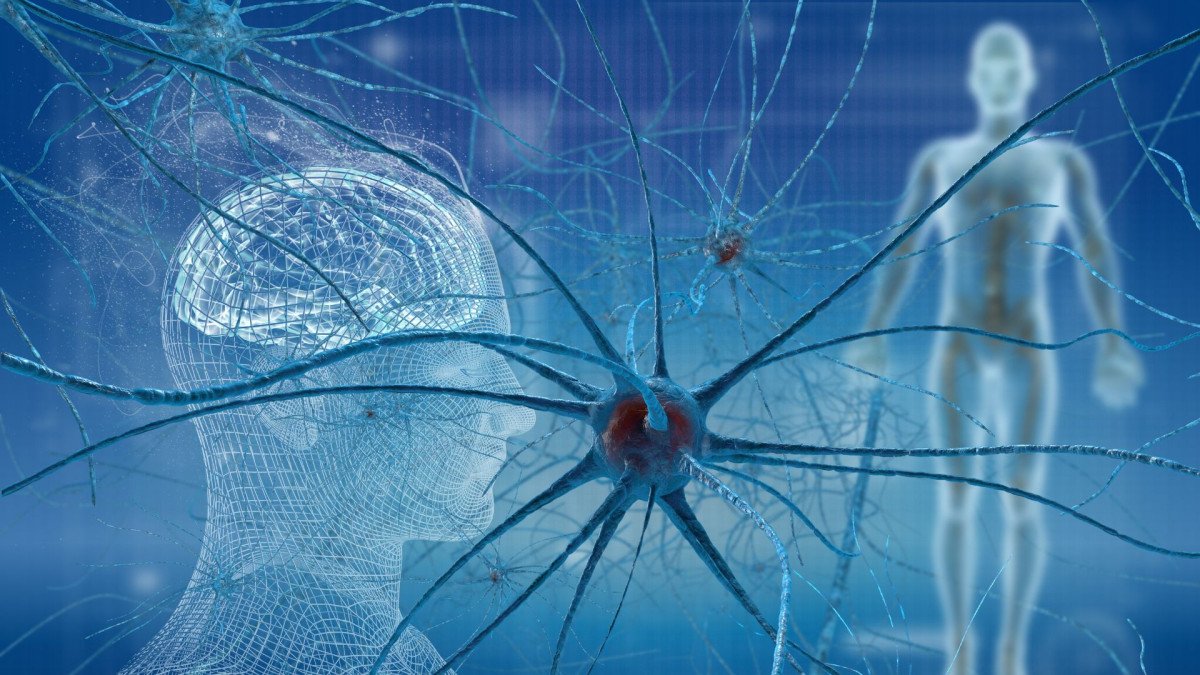 neuronas-espejo