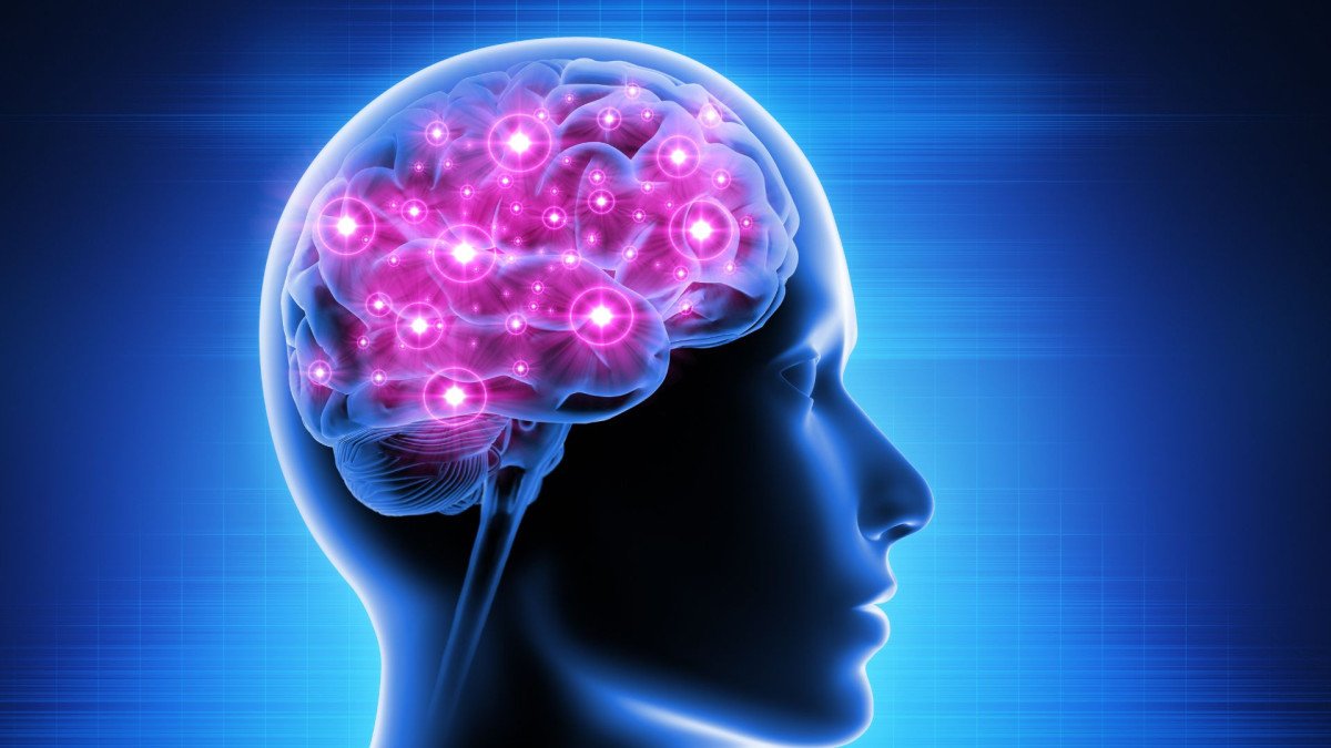 cerebro-antipsicoticos