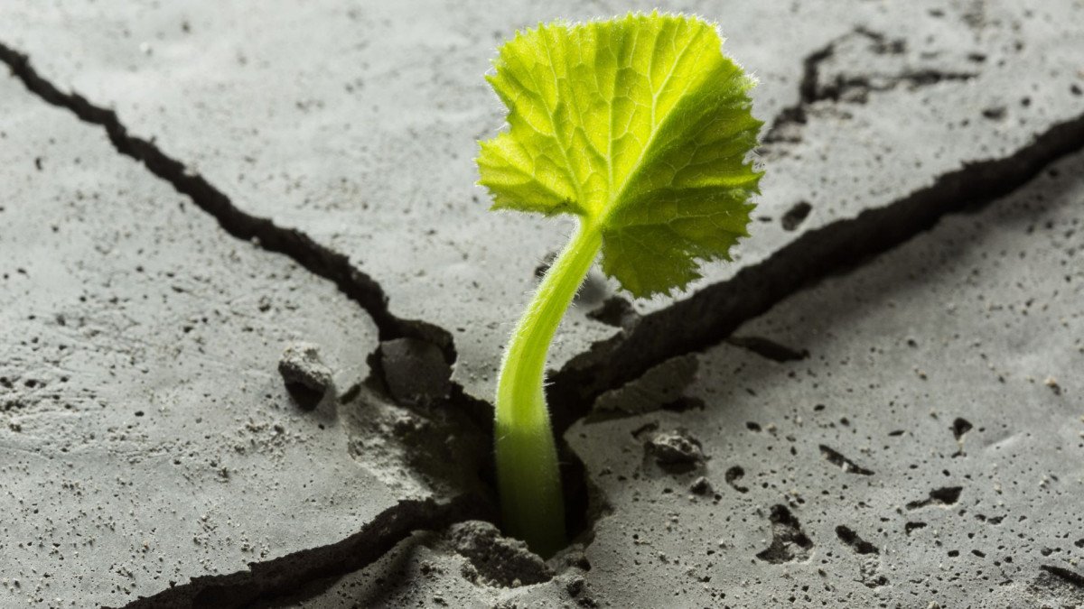 como-ser-mas-resilientes