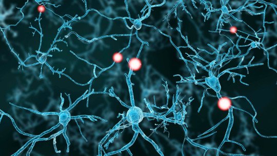 neurotransmisores-felicidad