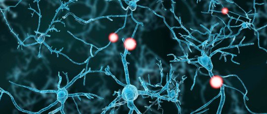neurotransmisores-felicidad