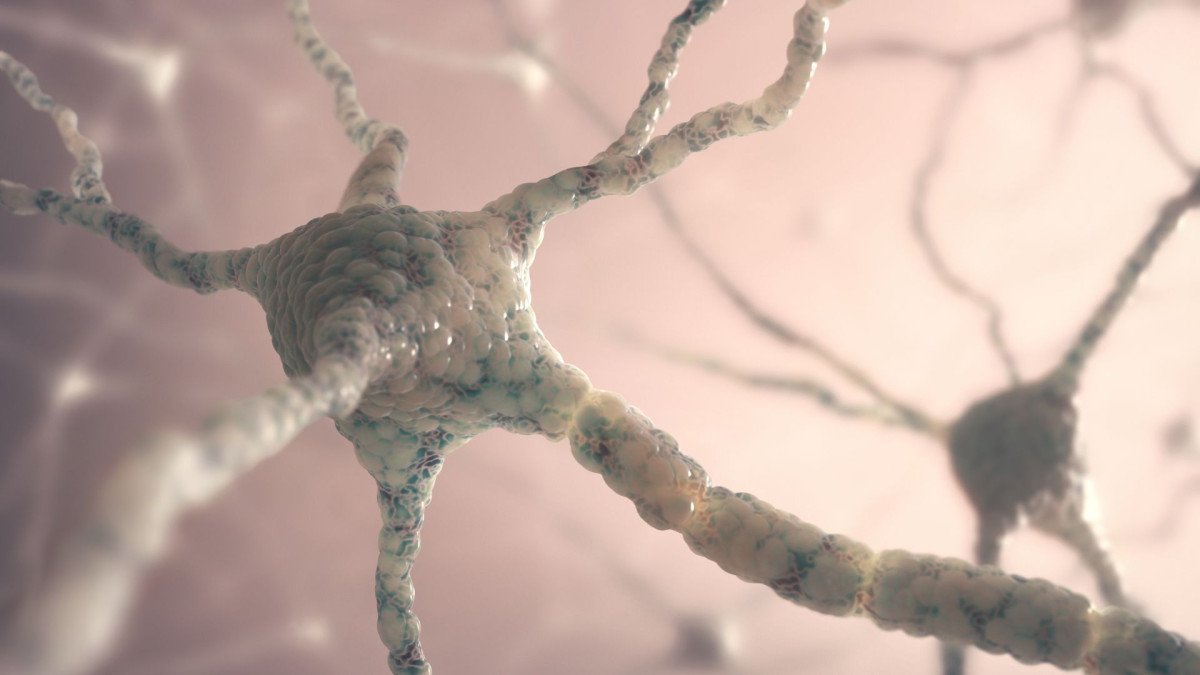 felicidad-neurotransmisores