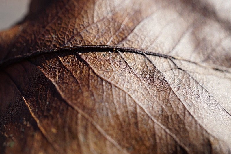 Reflexiones sobre la naturaleza