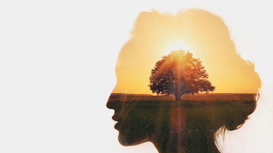 resolucion-conflictos-constructiva