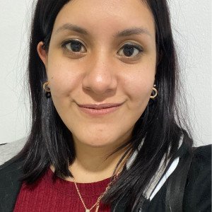 Flavia Alvarado Cancino