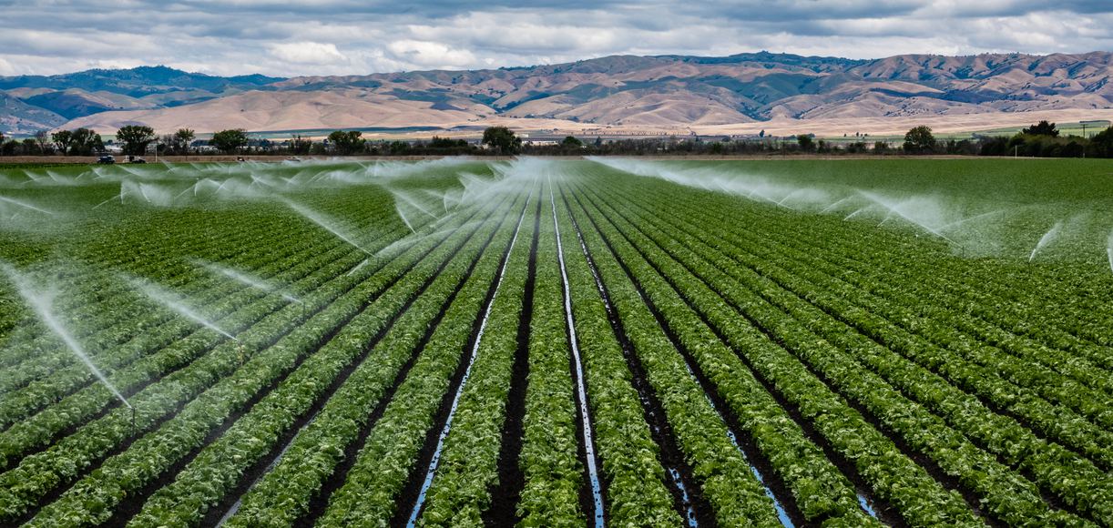 Psicólogos en Foothill Farms (California)